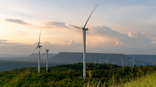 Sustainability 101: All You Need To Know About Sustainable Living